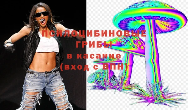 эйфоретик Богданович